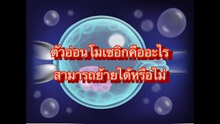 รักษามีบุตรยาก พ ญ  สุชาดา มงคลชัยภักดิ์ Chada IVF on 2022 08 28 at 14 00 59