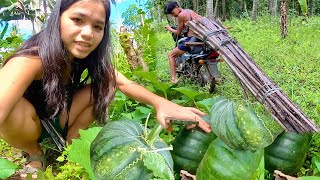 Simple Life: A Glimpse Into Rural Province Life