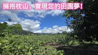 擁抱枕山，實現您的田園夢！