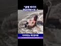 분명 여기가 명당이랬는데