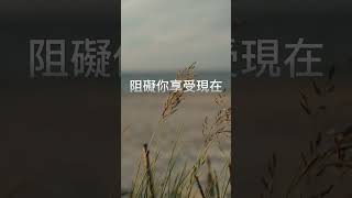 珍惜當下-享受當下的美好和機會。#勵志語錄#正能量#啟示