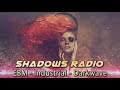 EBM Music Mix - Electro-Industrial - Synthwave - Dark Electro Mix