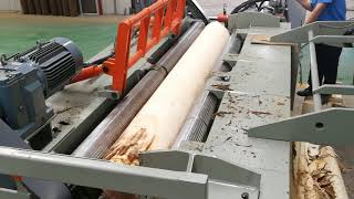 Wood Log Debarking Machine