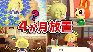 【あつ森】予想外の状態…メインの島を初めて４か月放置した結果…【あつまれどうぶつの森実況】