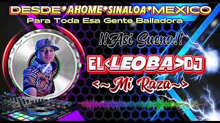 Dj Leoba Proo Mix - El Guero Guerinche - Huapango Son - 2024