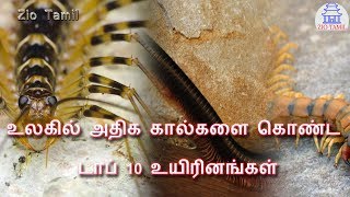 உலகில் அதிக கால்களை கொண்ட டாப் 10 உயிரினங்கள் | Tamil