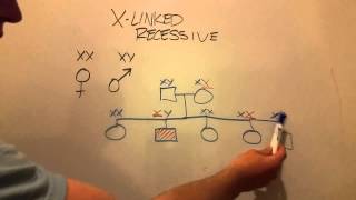 X-Linked Recessive Inheritance