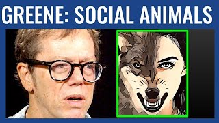 Robert Greene: How to Resist MANIPULATION and Be a Lone Wolf (Brad Carr Clip)