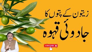 Zaitoon k Pattay Ke Fayde | Benefits of Olive Leaves