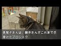 【スカッとする話】パート先でみんなにバカにされている上司は実は神様的な大スターだったwwwww