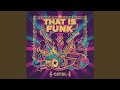 That Is Funk