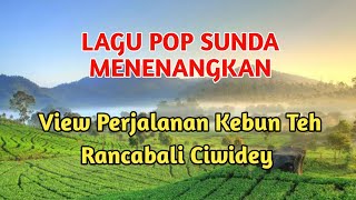 LAGU POP SUNDA MENENANGKAN | View Perjalanan Kebun Teh Rancabali Ciwidey