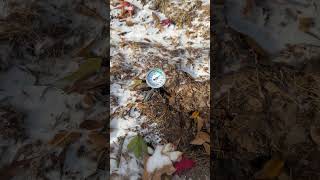 Compost bin at 132 degrees with 16 degree temps outside #compost #wintergarden #gardening