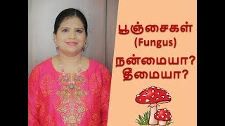 Introduction to Fungus in Tamil