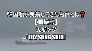 韓国船が曳航してきた物件とは❓【4K撮影】曳航タグ『102 SUNG SHIN』