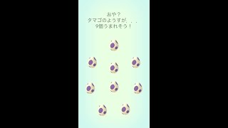 【ポケモンGO】10キロたまごふか９連