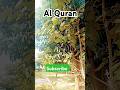 Al Quran Beautiful reaction of Quran #tilawatequran #urdutranslation