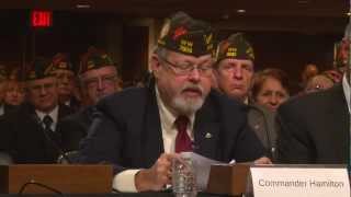VFW Commander-in-Chief John Hamilton's Complete Testimony