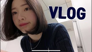 [브이로그-VLOG]가을 브이로그(직장인/일상/주말/회식/신전떡볶이/시바견/택이/서브웨이/막창/신논현/가배도/카페/신혼부부)