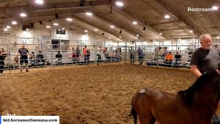 Lumberton Horse and Tack Auction