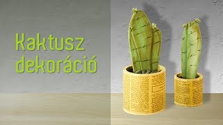 Kaktusz dekoráció | DIY Kreatív Ötletház