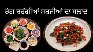 ਰੰਗ ਬਰੰਗੀਆਂ ਸਬਜ਼ੀਆਂ ਦਾ ਸਲਾਦ/ Colorful Vegetables Salad/रंग विरंगा सालाद/ Healthy  Tasty food Recipe