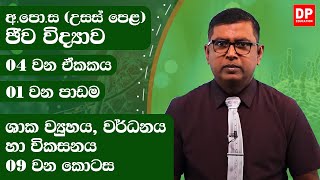 04 වන ඒකකය | 01 වන පාඩම  -  ශාක ව්‍යුහය, වර්ධනය හා විකසනය  -  09 වන කොටස | AL Bio Unit 04