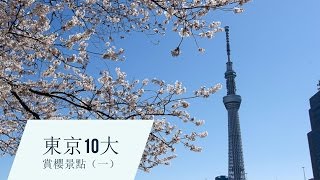 【日本】東京10大賞櫻景點 （一）