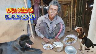 BỮA CƠM rẻ tiền của người nghèo, ăn no cái bụng để TỒN TẠI - tập 1715