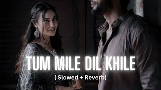 Tum Mile Dil Khile (slowed+reverb) | Arijit Singh version