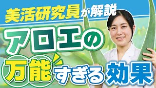 【アロエの凄い効能】スキンケアのプロが教えます！