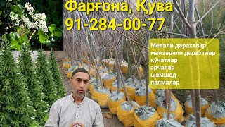 Мевали, манзарали кўчатлар сотилади. Фарғона, Қува. 91-284-00-77