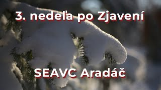 3. nedeľa po Zjavení - SEAVC Aradáč 2021