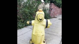 Hyde Hydrant talks firetrucks