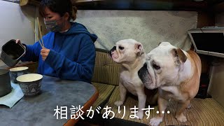 車中泊生活をする２匹のブルドッグと私、愛犬が「家に…」と相談されました…。