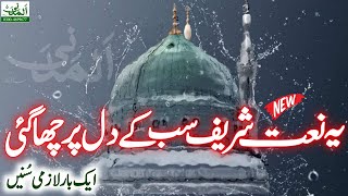 New Best Hit Naat Sharif || Wo Mera Nabi Mera Nabi Hai By Hafiz Ahmed Raza Khan Attari Qadri