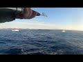 archived version how to completely float yellowfin tuna video version