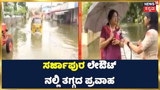 Bengaluru | ಕಳೆದ 4 ದಿನಗಳಿಂದ ತುಂಬಿರೋ ನೀರು, ಜನರ ಪರದಾಟ; ಮಳೆಯಿಂದ ಮೃತಪಟ್ಟ ಮುದ್ದು ಬೆಕ್ಕು | Kannada News