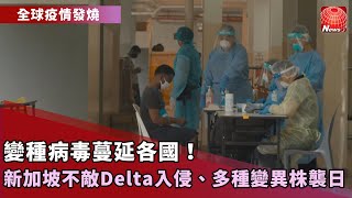 【全球疫情發燒】新加坡不敵Delta猛攻 單周確診飆逾1200人｜遏止疫情升溫 拜登要求百人企業打疫苗｜Mu變異株太強？疫苗防護力剩1/7 @globalnewstw