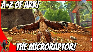 A-Z Of Ark! The MICRORAPTOR TERROR OF THE REDWOODS!! || Ark Survival Evolved!