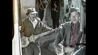 Tibetan Odyssey - Tibetan Folk Music (51)