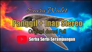 SUARA WALET PANGGIL + INAP STEREO ORIGINAL