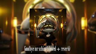 Goodbye Mr schizo (slowed+reverb)