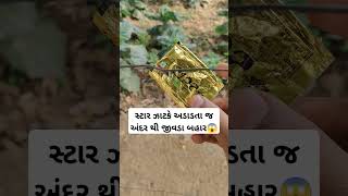 સ્ટાર ઝાટકે અડાડતા જ અંદર થી જીવડા બહાર😱#trending #viral #Reels #funny