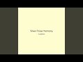 Silver Pulse Harmony