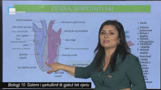 Biologji 10 - Sistemi i qarkullimit të gjakut tek njeriu