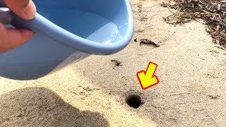 これ何の穴？海水を入れてみよう！