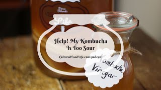 Podcast Episode 291: Help! My Kombucha Is Too Sour