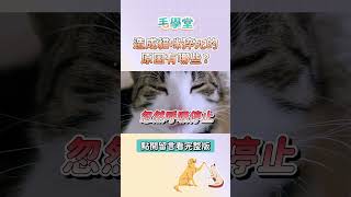 貓咪看起來沒事突猝死？造成猝死的「無聲殺手」有哪些？#毛學堂 #杜克動物醫院 #寵物知識 #獸醫師