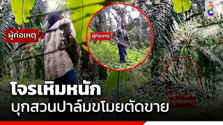 โจรเหิมหนัก บุกสวนปาล์มขโมยตัดขาย | ข่าวช่อง 8